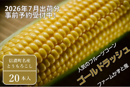 2026年夏のご予約受付開始！ 信濃町名産とうもろこし『ファームかずとのゴールドラッシュ 20本セット』粒皮が薄く生でも食べられる、フルーツを凌ぐほどの甘いとうもろこし 朝採れを農場から直送　令和8年7月下旬～8月下旬出荷分 先行予約【長野県信濃町ふるさと納税】
