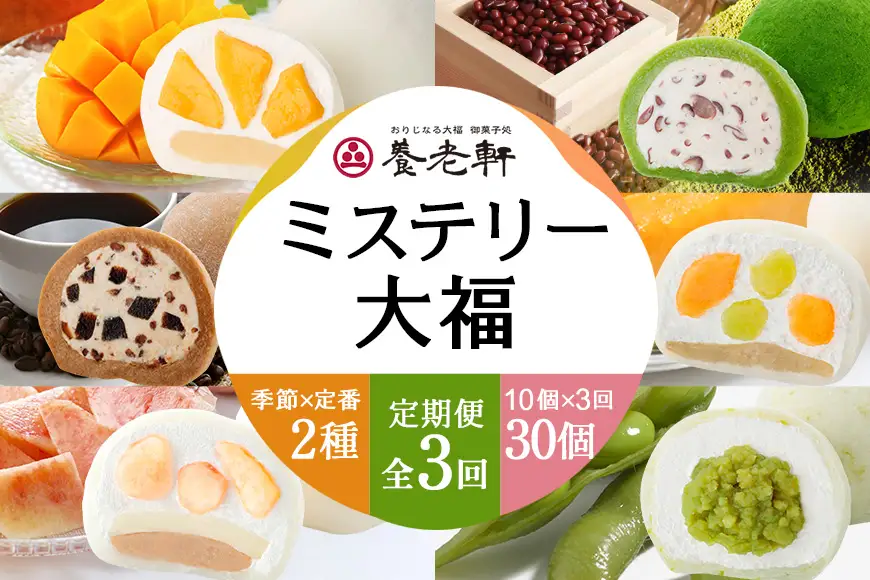 【期間限定・定期便（全3回）】養老軒のミステリー大福　10個入（2種類×5個）×3回│お楽しみ 人気 旬 フルーツ ふるーつ スイーツ 大福 和スイーツ おやつ おかし お菓子 和菓子 定期便