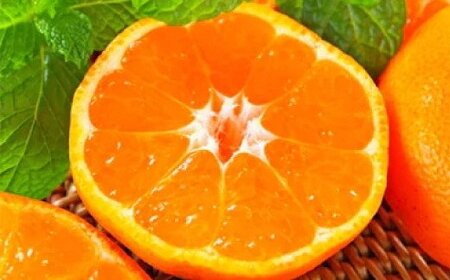 農園直送!完熟有田みかん 約3kg＋200g【サイズ混合】【2026年11月中旬～11月下旬頃に順次発送予定】【AA90172-ard002C-11】