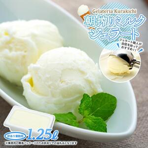 【訳あり】ミルク ジェラート 1.25リットル【大容量 アイス 業務用 スイーツ 人気 デザート 冷凍 氷菓子 1.25L 家族 ファミリーサイズ 朝搾りミルク】