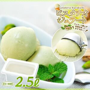 【数量限定】ピスタチオ ジェラート 2.5リットル【大容量 アイス 業務用 訳あり スイーツ 人気 デザート 冷凍 氷菓子 2.5L 家族 ファミリーサイズ イタリア シチリア産】