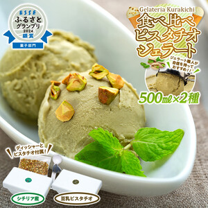 【数量限定】ジェラート 500ml×2種 食べ比べ シチリア産 ピスタチオ 豆乳ピスタチオ【大容量 アイス 業務用 セット スイーツ 人気 デザート 冷凍 氷菓子 合計 1リットル 家族 ファミリーサイズ イタリア】