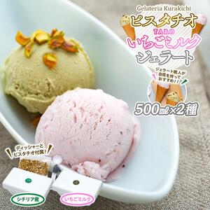 【数量限定】ジェラート 500ml×2種 食べ比べ  シチリア産 ピスタチオ TAROいちごミルク【大容量 アイス 業務用 セット 合計 1リットル スイーツ 人気 デザート 冷凍 氷菓子 家族 ファミリーサイズ 苺】