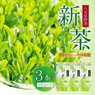 Y26-17 新茶 八女星野茶 100g×3本