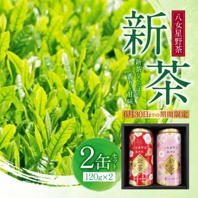 Z26-18 寄附額改定↓↓ 新茶 八女星野茶 120g×2本