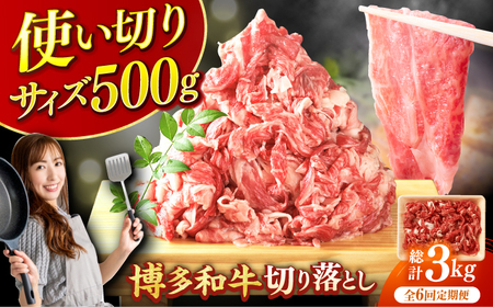 【6回定期便】切り落とし500g [AFBO075]