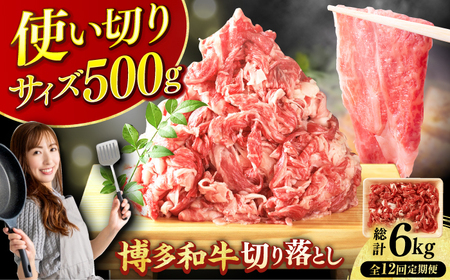 【12回定期便】切り落とし500g [AFBO076]