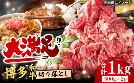 牛肉 切り落とし 1kg（500g×2P）[AFBO077]