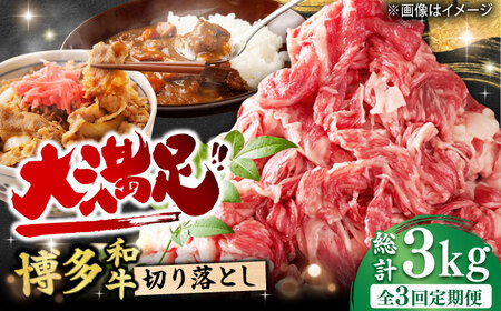 【3回定期便】切り落とし 1000g（500g×2P）[AFBO078]