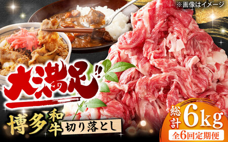 【6回定期便】切り落とし 1000g（500g×2P）[AFBO079]