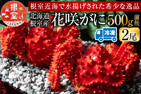 【北海道根室産】花咲がに500g前後×2尾 G-54002