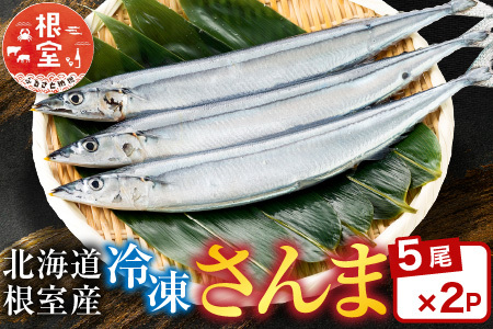 【北海道根室産】冷凍生さんま5尾×2P G-30001