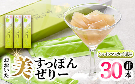 おおいた 美・すっぽんぜりー シャインマスカット風味(計30本・10本×3箱)小分け ゼリー スッポン 常温 保存【115300800】【アンフィニプロジェクト】