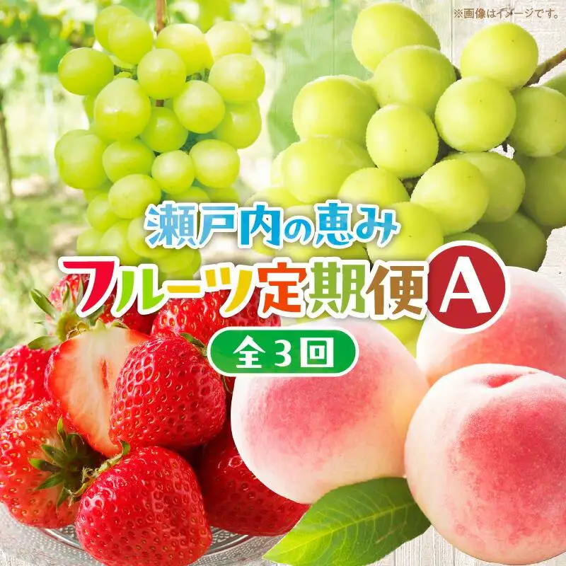 【3回お届け】高松市自慢のフルーツ定期便【A】| フルーツ