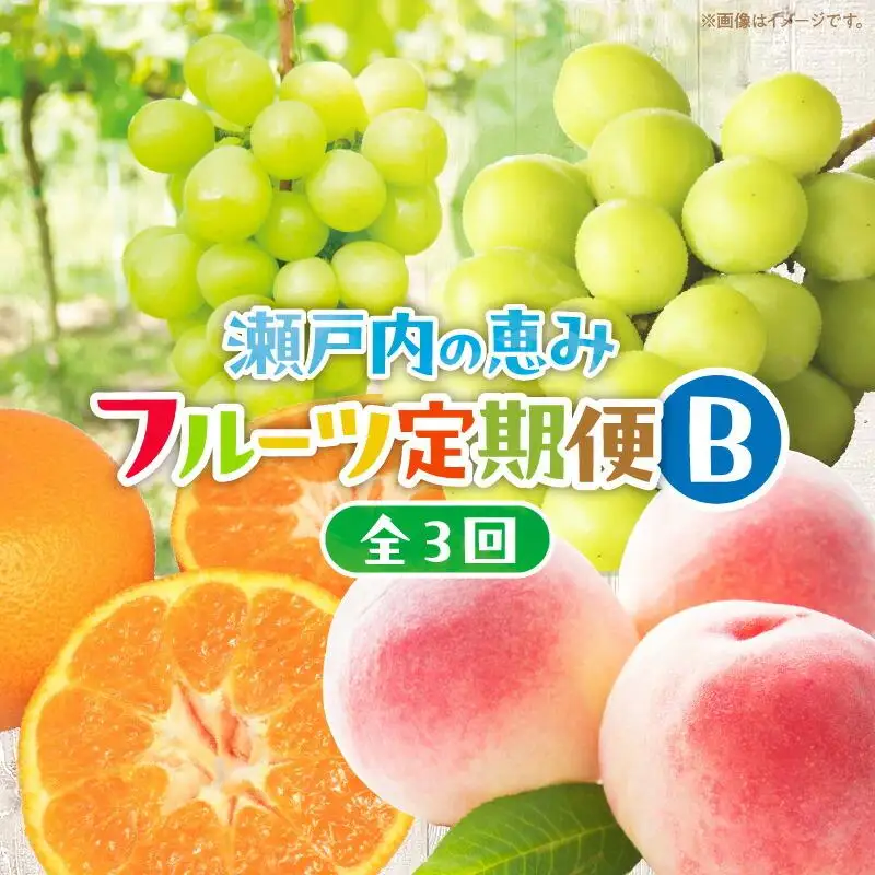【3回お届け】高松市自慢のフルーツ定期便【B】| フルーツ