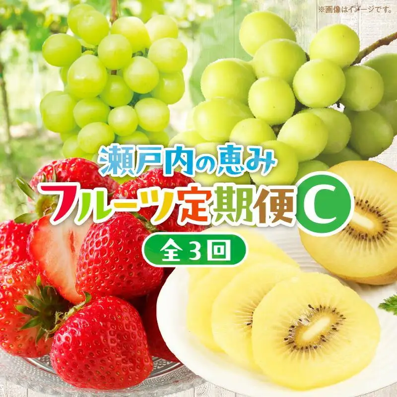 【3回お届け】高松市自慢のフルーツ定期便【C】 | フルーツ