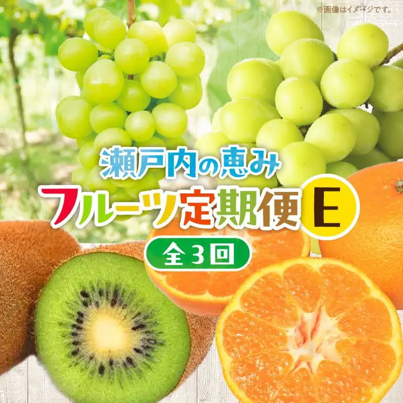 【3回お届け】高松市自慢のフルーツ定期便【E】| フルーツ