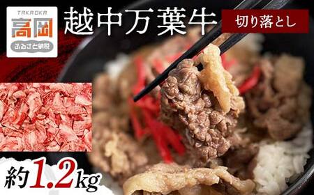 越中万葉牛切り落とし1.2Kg おすすめ 牛肉 すき焼き ボリューム 冷凍 /天狗乃肉林本店/富山県高岡市  FAD-1357