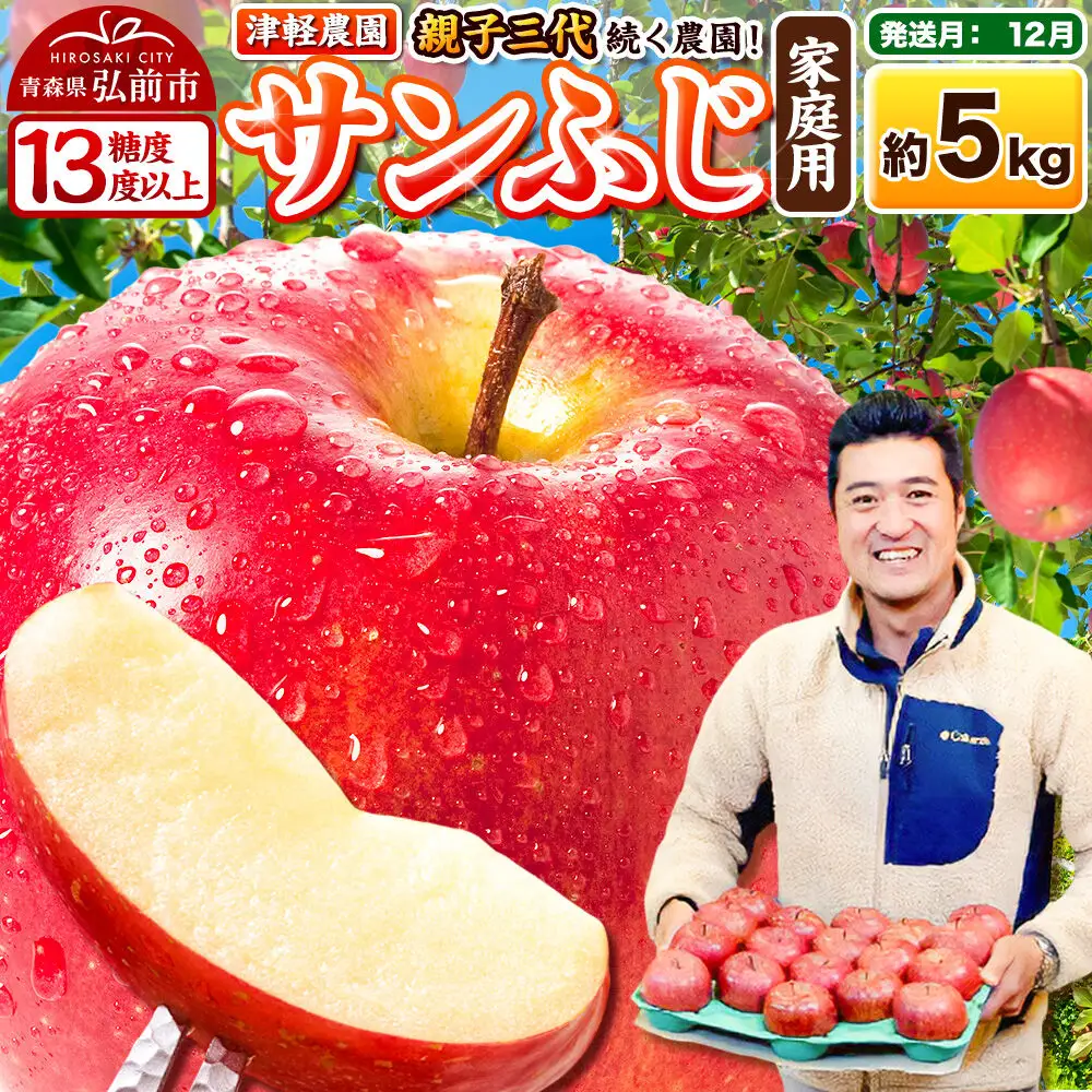 【26年12月発送】りんご【糖度13度以上】サンふじ【家庭用】約5kg  13～20玉程度 津軽農園