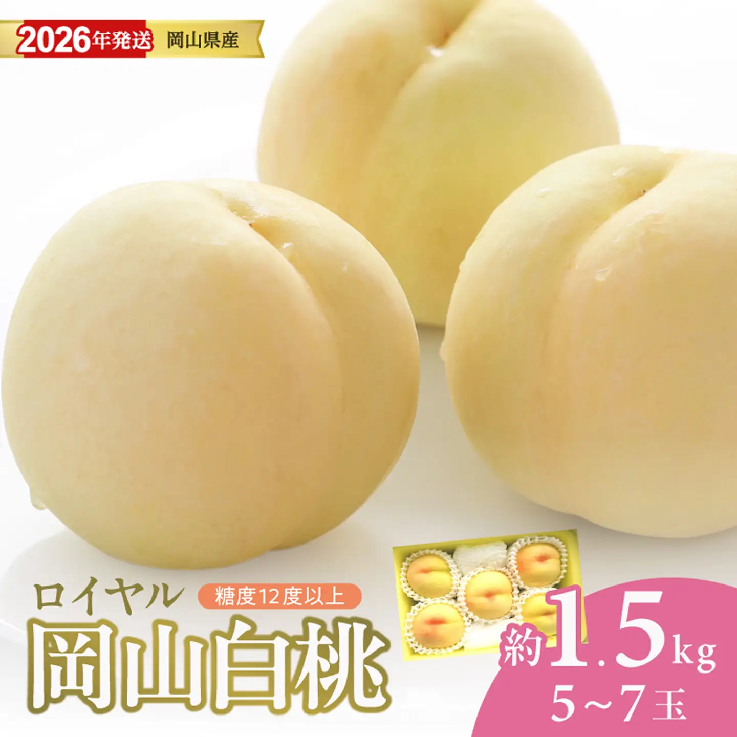 【2026年発送分 先行受付スタート！】岡山県産 白桃 最高ランク！「ロイヤル」約1.5kg（ 5～7玉）（令和8年7月以降発送）【桃】hz-m