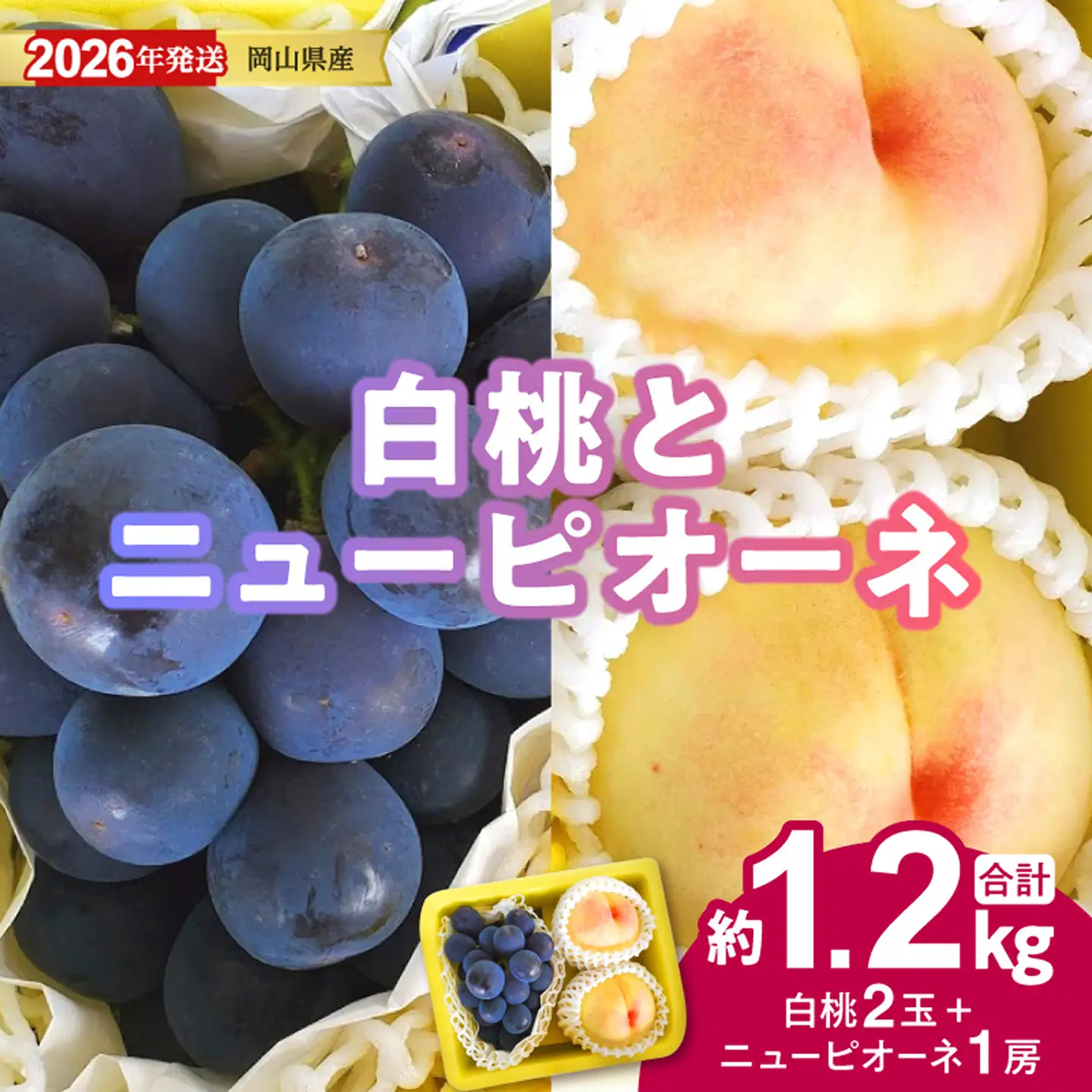 【2026年発送分 先行受付スタート！】岡山県産 白桃とニューピオーネのセット（令和8年7月以降発送）【桃 ニューピオーネ】