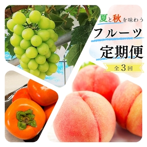 【7・8・10月 全3回】紀州和歌山産旬のフルーツセット（桃・シャインマスカット・ひらたねなし柿）定期便 【魚鶴商店】【UT66】【Z91135-tkb370】