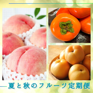 【7・8・10月 全3回】紀州和歌山産旬のフルーツセット（桃・梨・ひらたねなし柿）定期便 【魚鶴商店】【UT68】【Z91137-tkb372】