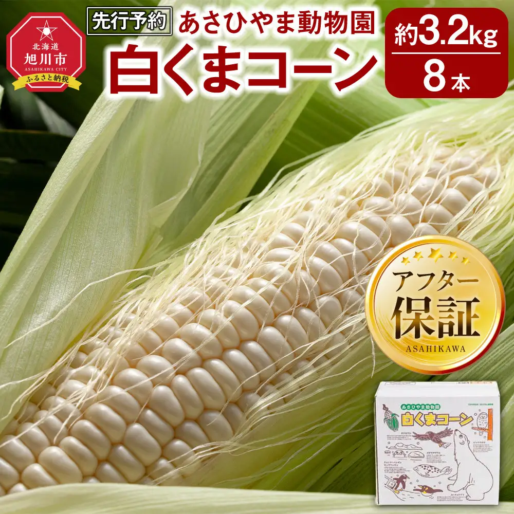 【先行予約】あさひやま動物園しろくまコーン3.2kg(ホワイトレディもしくはピュアホワイト8本)2026年8月下旬から発送開始 | とうもろこし とうもろこし 北海道 限定_03811