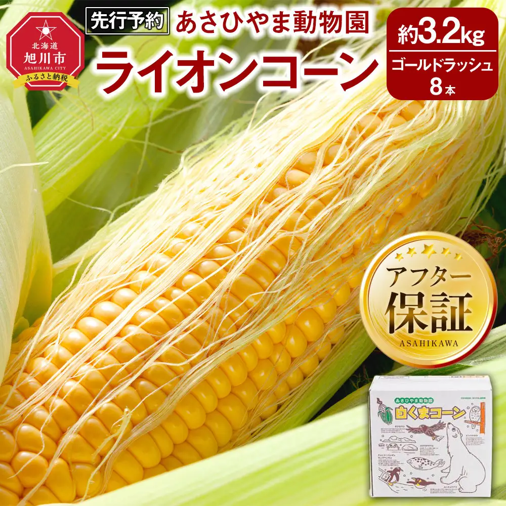 【先行予約】あさひやま動物園ライオンコーン3.2kg(ゴールドラッシュ8本)2026年8月下旬から発送開始 | とうもろこし とうもろこし 北海道 限定 _03812