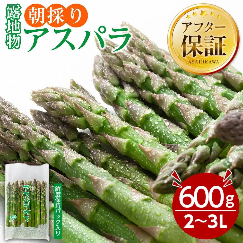 露地物朝採りアスパラ　鮮度保持フィルム入り　2～3L　600g(5月中旬発送開始) | アスパラ 北海道 _03816