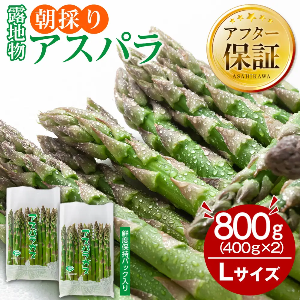 露地物朝採りアスパラ　鮮度保持フィルム入り　Lサイズ　400g×2　合計800g(5月中旬発送開始) | アスパラ 北海道_03818