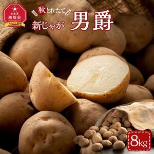 【先行予約】秋とれたて 新じゃが 男爵いも 8kg（2026年10月発送開始予定）【 じゃがいも いも イモ 芋 野菜 産地直送 旬 お取り寄せ 旭川市 北海道 】 _03814