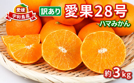 訳あり みかん 愛果28号 ハウス栽培 約3kg ハマみかん 【 訳あり みかん 】 B010-075009