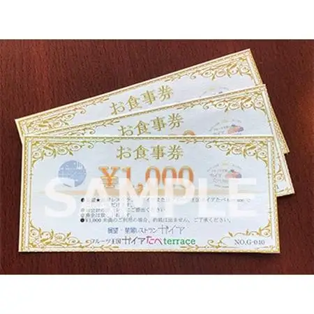 お食事券  3000円【1488383】