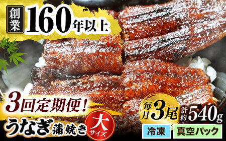 【うなぎや】 【3回定期便】 炭火焼 うなぎの蒲焼き 3尾 【紀州備長炭使用】 鰻 ウナギ 丑の日 多治見市 [TFO010]
