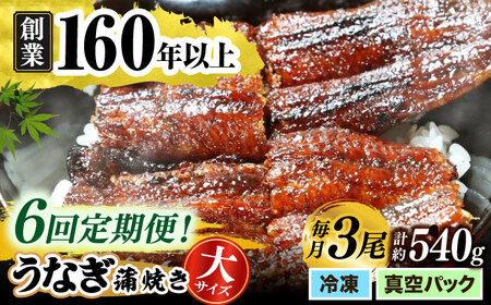 【うなぎや】 【6回定期便】 炭火焼 うなぎの蒲焼き 3尾 【紀州備長炭使用】 鰻 ウナギ 丑の日 多治見市[TFO011]