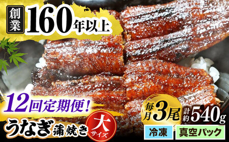 【うなぎや】 【12回定期便】 炭火焼 うなぎの蒲焼き 3尾 【紀州備長炭使用】 鰻 ウナギ 丑の日 多治見市[TFO012]