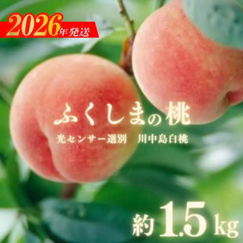 No.2920ふくしまの桃「光センサー選別川中島白桃」約1.5kg【2026年発送】