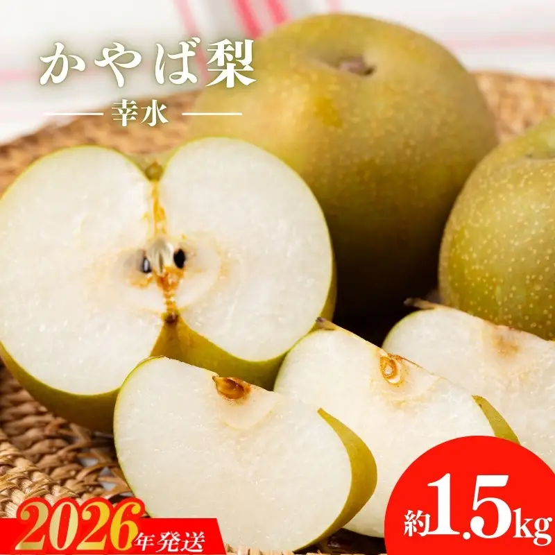 No.2922かやば梨「幸水」約1.5kg【2026年発送】