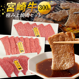 宮崎牛極み上焼肉セット 合計 300g　N0140-YB362