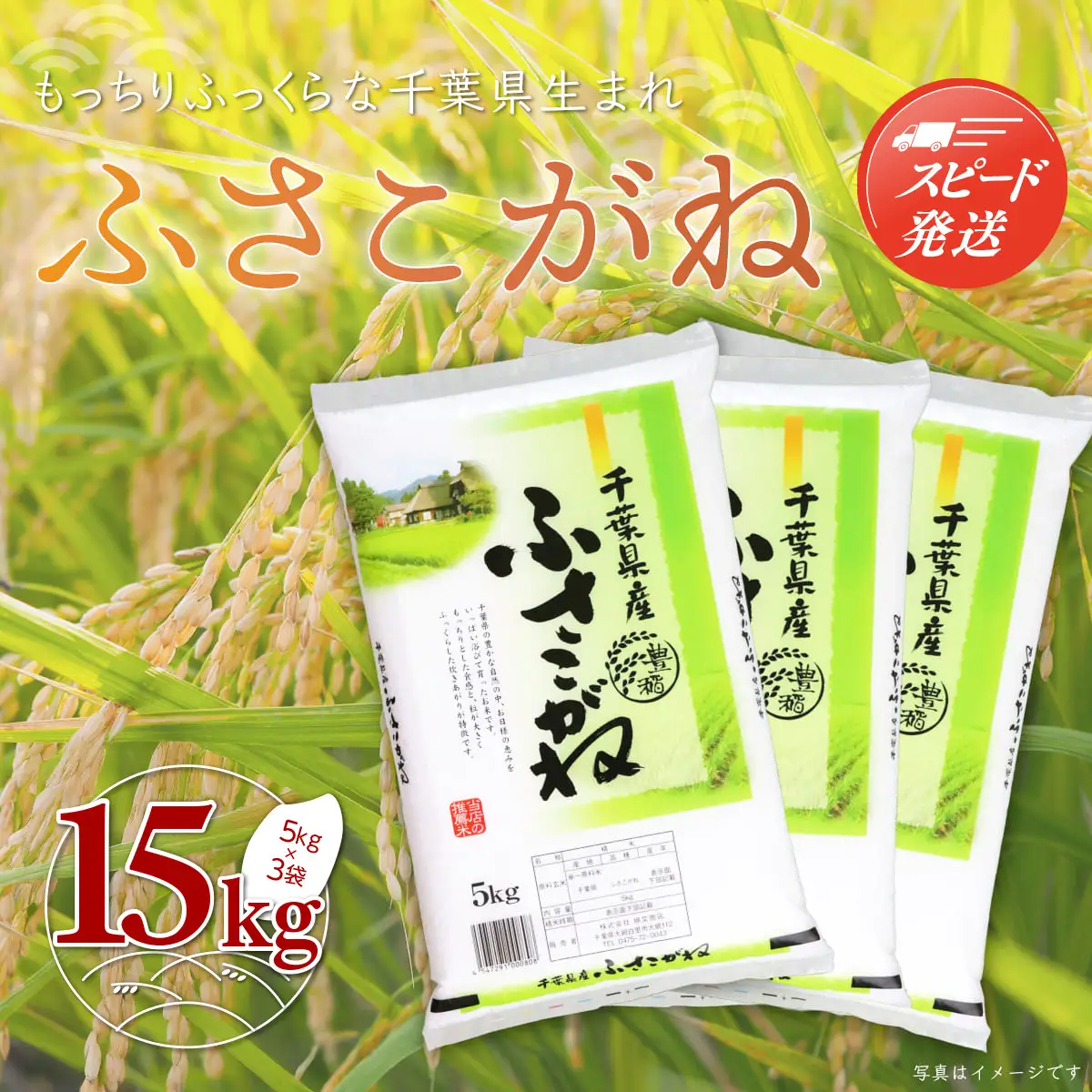 【最短2～7営業日出荷】令和7年産 千葉県産「ふさこがね」15kg（5kg×3袋） お米 15kg 千葉県産 大網白里市 ふさこがね 米 精米 こめ 送料無料 A048
