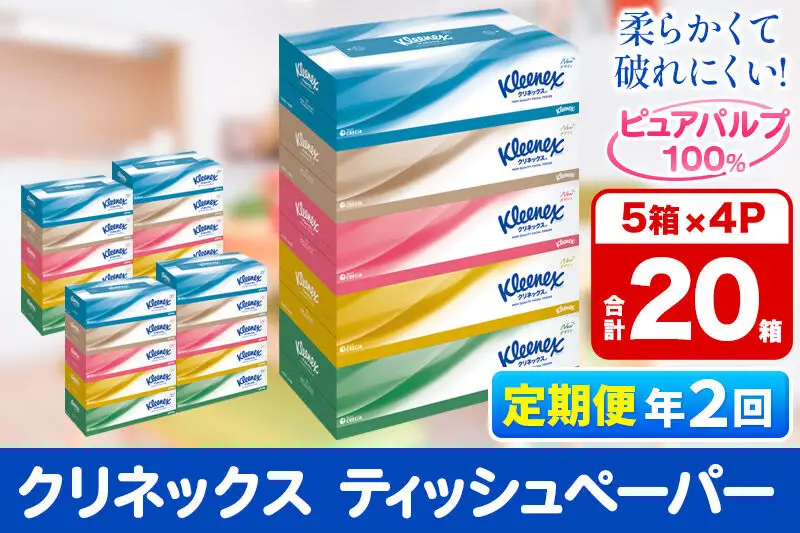 《6ヶ月ごとに2回お届け》定期便 ティッシュ クリネックス 20箱 5箱×4パック 秋田市オリジナル