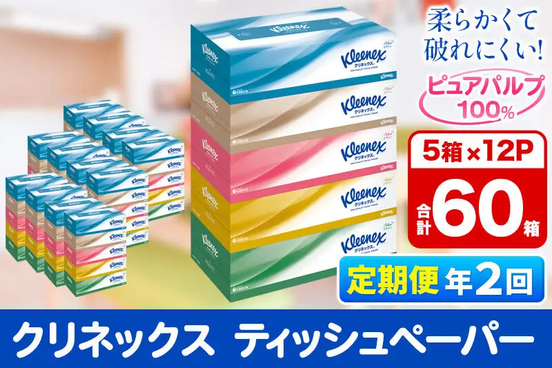 《6ヶ月ごとに2回お届け》定期便 ティッシュ クリネックス ティシュー 5箱×12パック