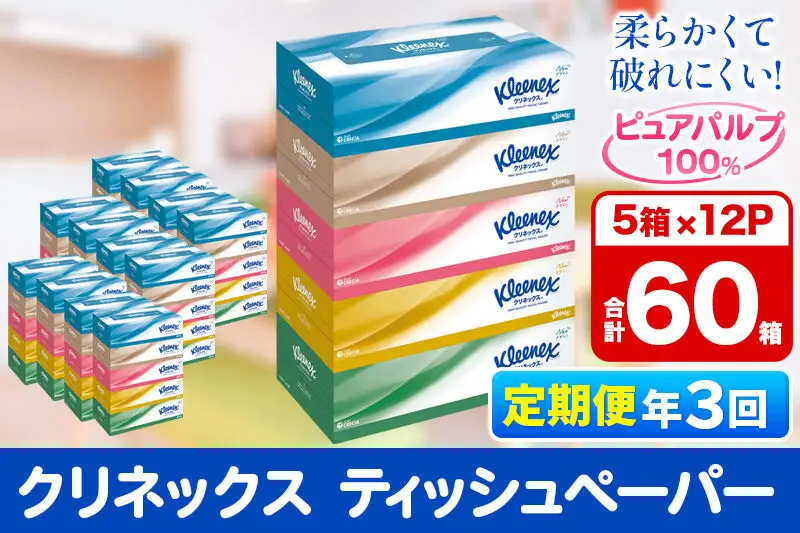 《4ヶ月ごとに3回お届け》定期便 ティッシュ クリネックス ティシュー 5箱×12パック