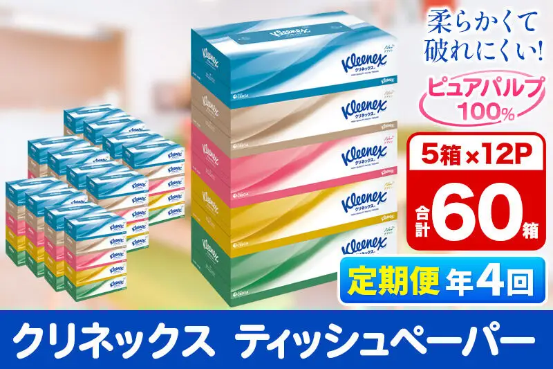 《3ヶ月ごとに4回お届け》定期便 ティッシュ クリネックス ティシュー 5箱×12パック