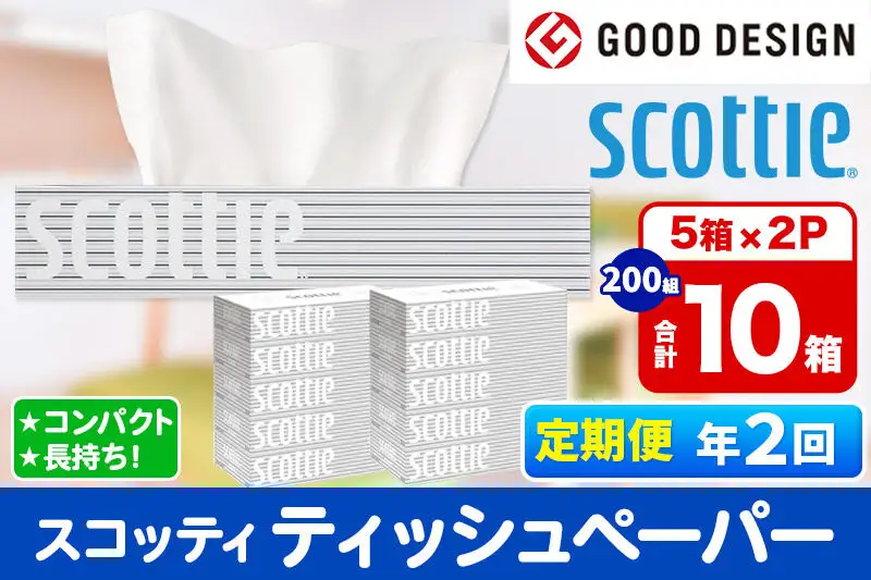 《6ヶ月ごとに2回お届け》定期便 ティッシュペーパー スコッティ 200組 10箱(5箱×2パック) ティッシュ 秋田市オリジナル 新生活