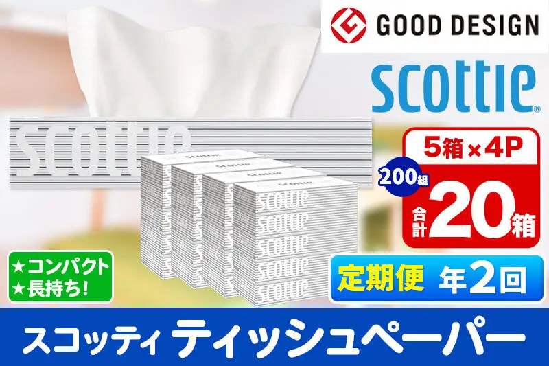 《6ヶ月ごとに2回お届け》定期便 ティッシュペーパー スコッティ 200組 20箱(5箱×4パック) ティッシュ 秋田市オリジナル 新生活