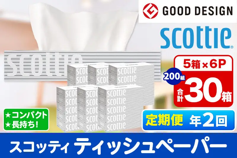 《6ヶ月ごとに2回お届け》定期便 ティッシュペーパー スコッティ 200組 30箱(5箱×6パック) ティッシュ 秋田市オリジナル 新生活