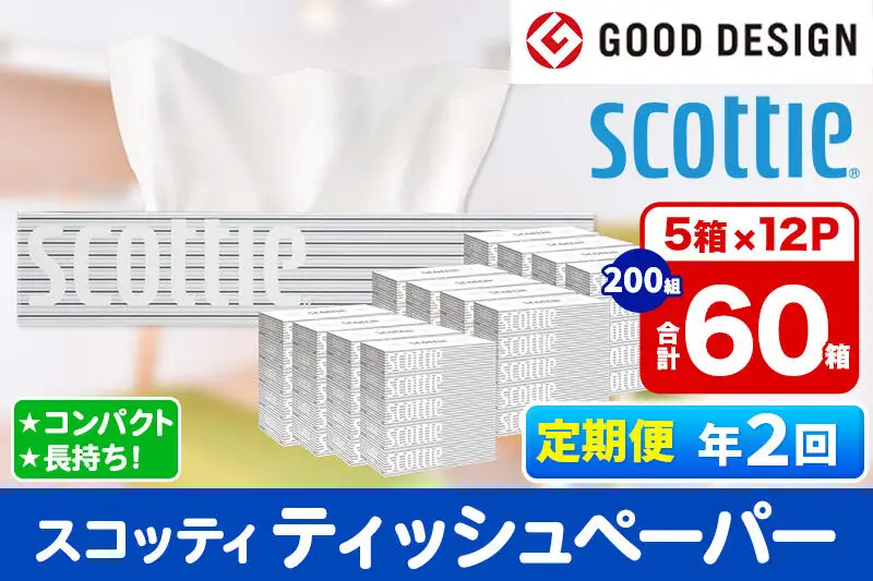 《6ヶ月ごとに2回お届け》定期便 ティッシュペーパー スコッティ 200組 60箱(5箱×12パック) ティッシュ