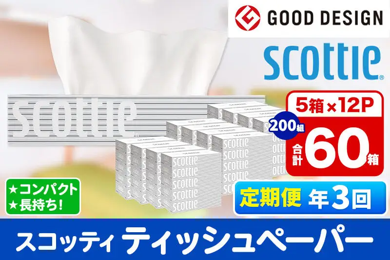 《4ヶ月ごとに3回お届け》定期便 ティッシュペーパー スコッティ 200組 60箱(5箱×12パック) ティッシュ